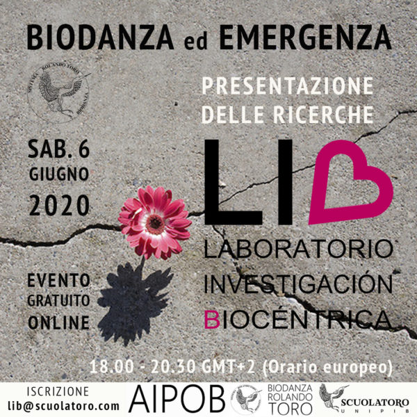 I primi risultati di LIB in “Biodanza ed emergenza”