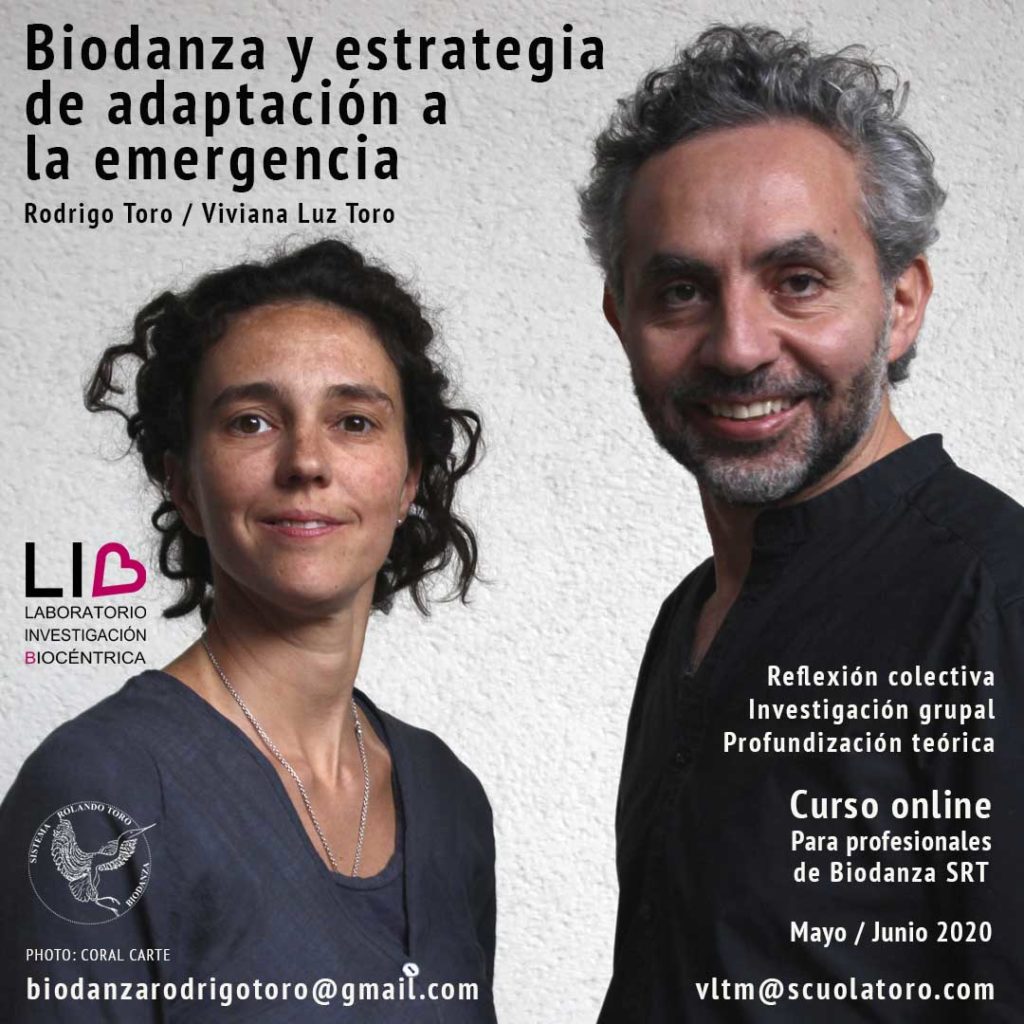 Conclusiones del equipo sobre el primer LIB – por Viviana Toro y Rodrigo Toro