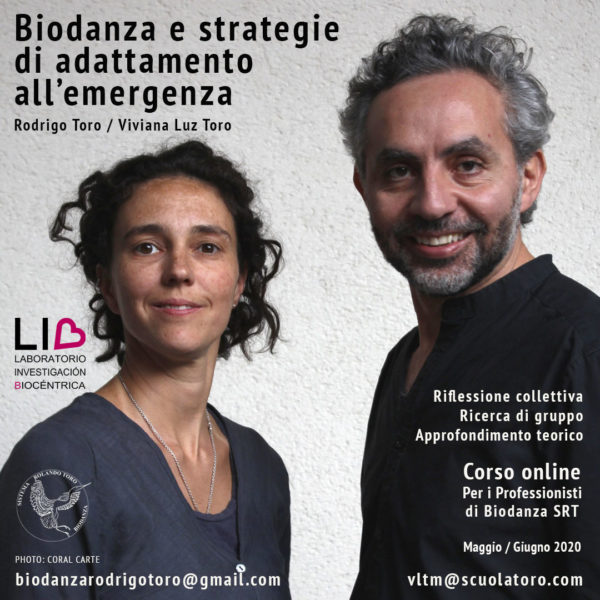 Conclusioni d’equipe sul primo LIB – di Viviana Toro e Rodrigo Toro