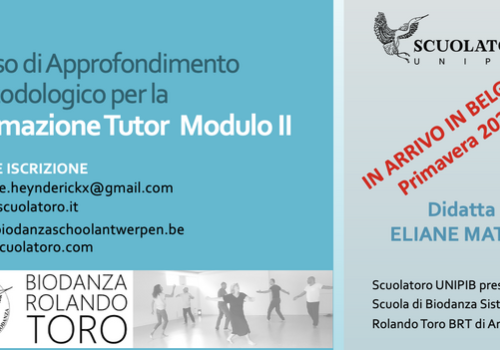 Formazione Tutor Belgio